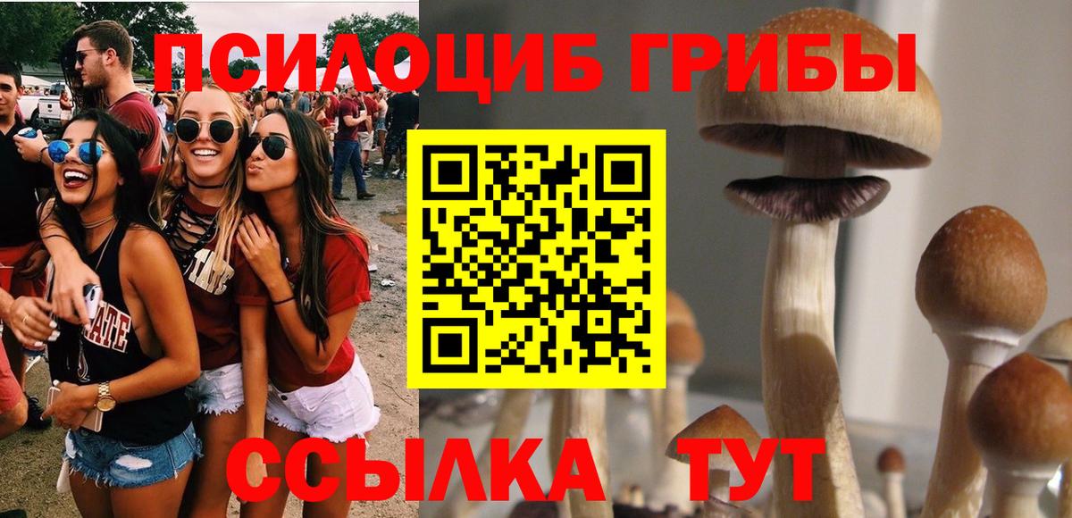 даркнет сайт  Вход с VPN  Северск  Галлюциногенные грибы мицелий 